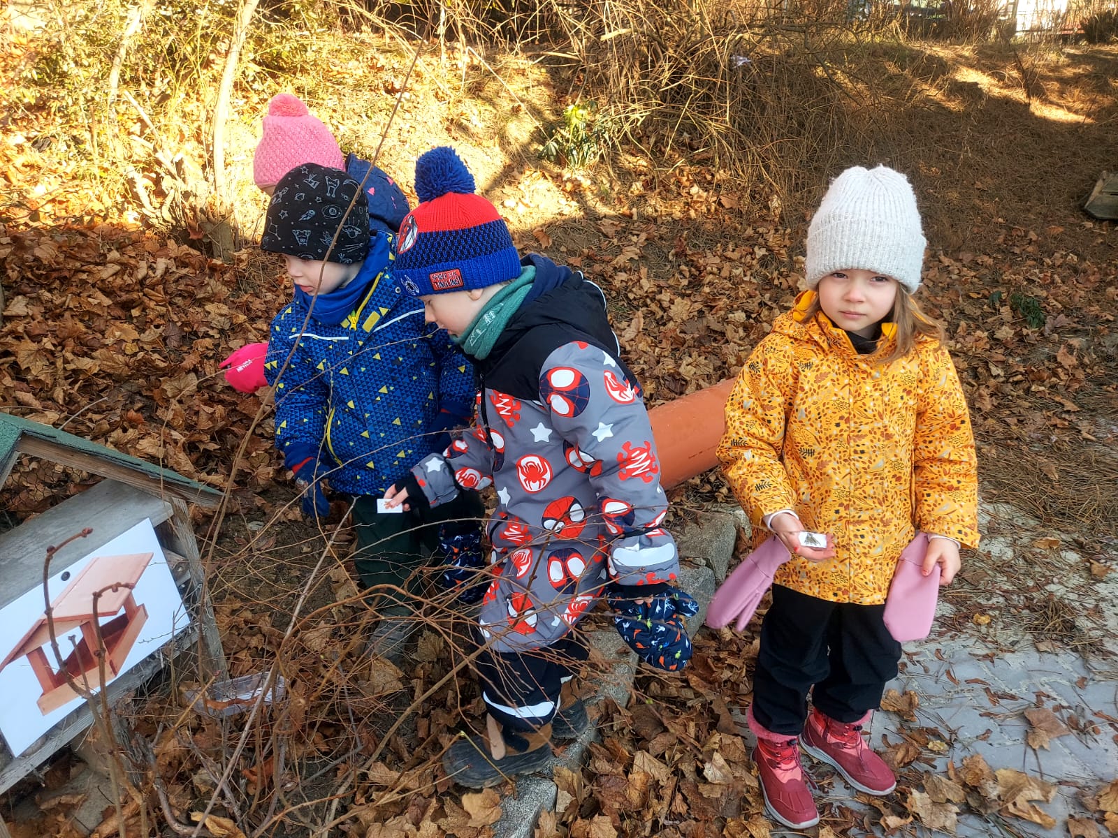 2025-02-25-Ptačí stezka na Žabákově zahrádce-4.jpg
